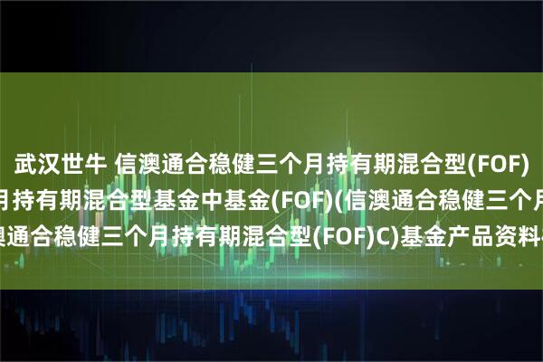 武汉世牛 信澳通合稳健三个月持有期混合型(FOF)C: 信澳通合稳健三个月持有期混合型基金中基金(FOF)(信澳通合稳健三个月持有期混合型(FOF)C)基金产品资料概要更新