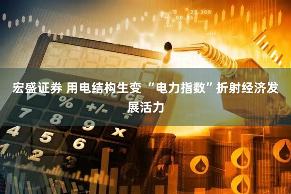 宏盛证券 用电结构生变 “电力指数”折射经济发展活力
